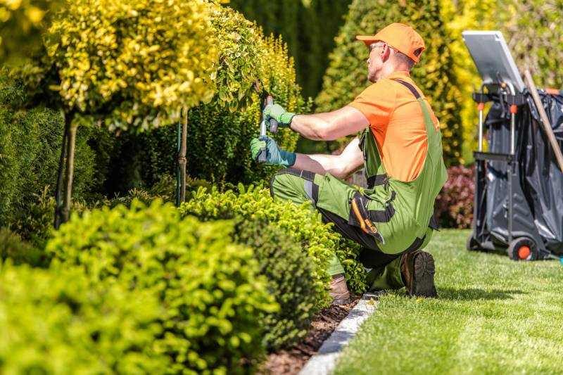 Débroussaillage au sol des ronces et mauvaises herbes du jardin avec réduction d'impôts à Fontaines sur Saône et la région de Caluire