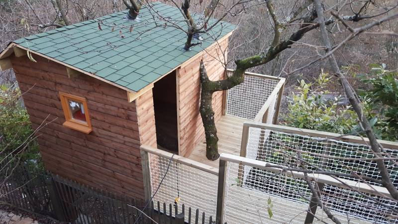 Construction d’une cabane dans un arbre à Caluire & Cuire